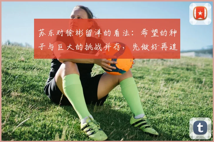 苏东对徐彬留洋的看法：希望的种子与巨大的挑战并存，先做好再追求完美